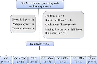 Serum IgE Levels Are Associated With the Prognosis of Minimal Change Disease